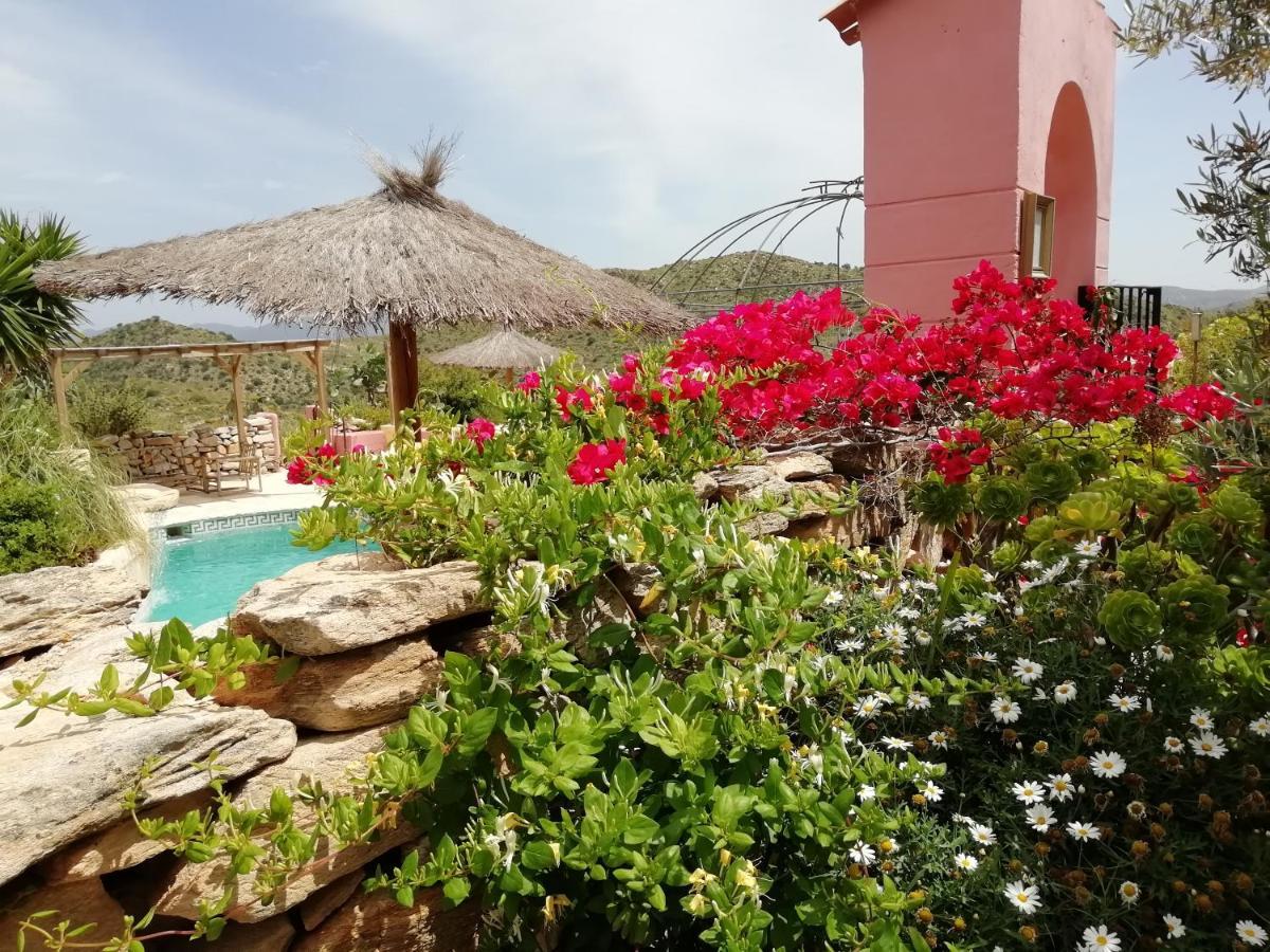 Bed & Breakfast Alegria Y Luna Bed and Breakfast Sorbas Eksteriør billede