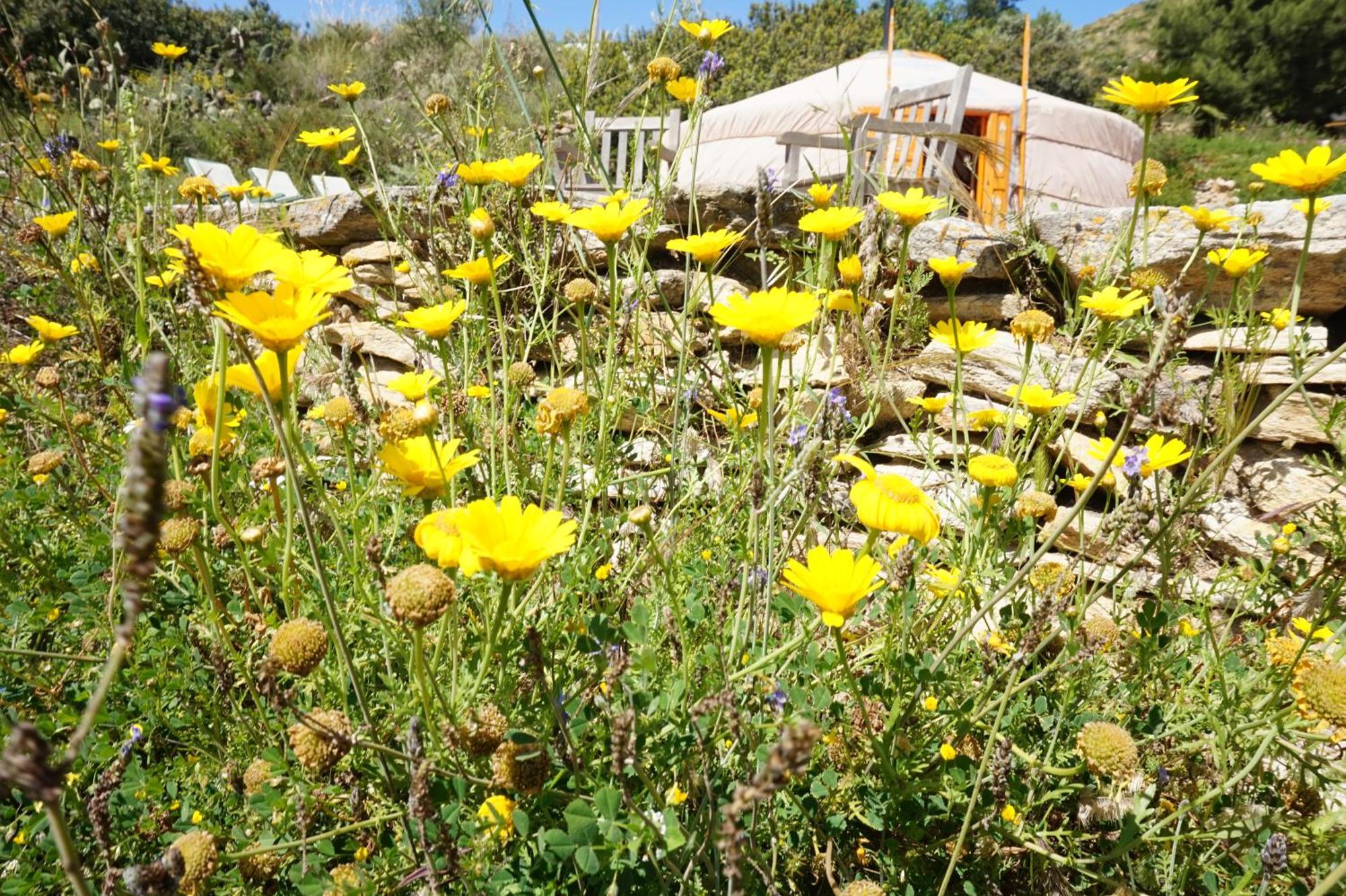 Bed & Breakfast Alegria Y Luna Bed and Breakfast Sorbas Eksteriør billede